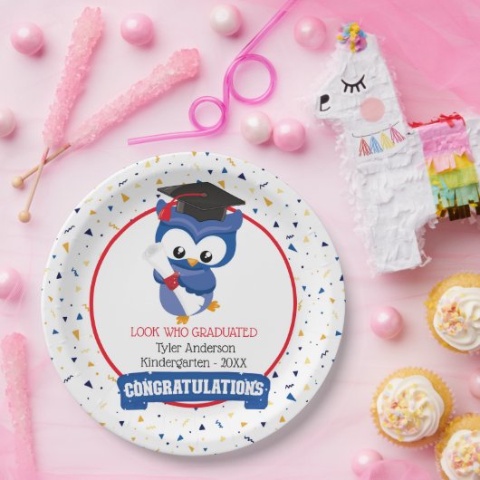 Blue Owl Kleuterschool Afstuderen Papieren Bordje (Feest)