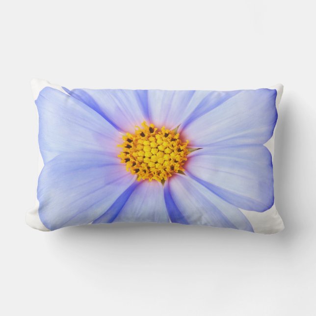 Blue Paars Daisy Gepersonaliseerd Sjabloon Daisies Kussen (Voorkant)