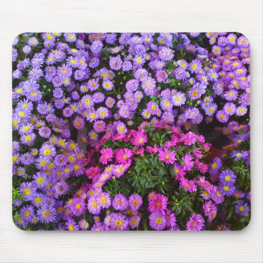 Blue Paars Pink Mums Mousepad Muismat (Voorkant)