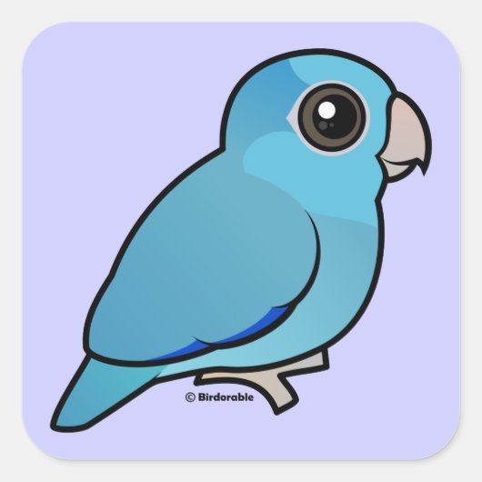Blue Pacific Parrotlet Vierkante Sticker (Voorkant)
