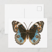 Blue Pansy Butterfly Briefkaart (Voorkant / Achterkant)