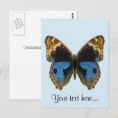 Blue Pansy Butterfly Briefkaart (Voorkant / Achterkant)