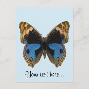 Blue Pansy Butterfly Briefkaart