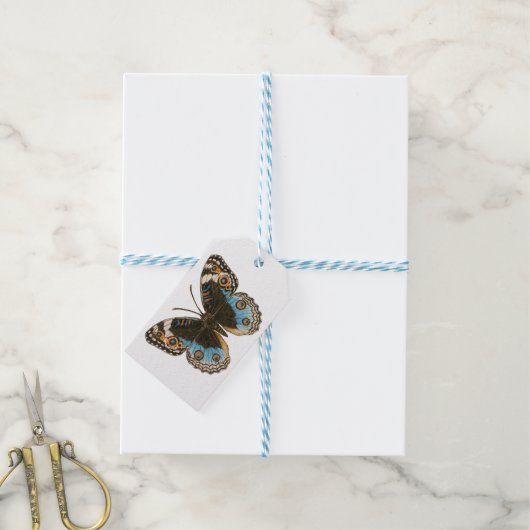 Blue Pansy Butterfly Cadeaulabel (Met Touw)