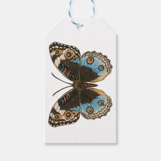 Blue Pansy Butterfly Cadeaulabel (Voorkant)