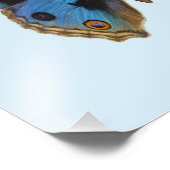 Blue Pansy Butterfly Foto Afdruk (Hoek)