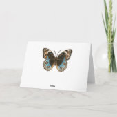 Blue Pansy Butterfly Kaart (Achterkant)