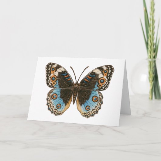 Blue Pansy Butterfly Kaart (Voorkant)