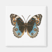 Blue Pansy Butterfly Magneet (Voorkant)
