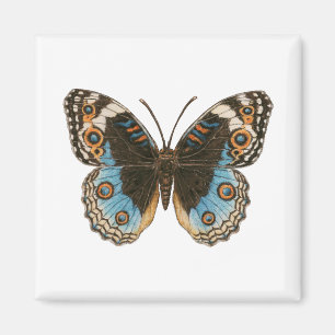 Blue Pansy Butterfly Magneet