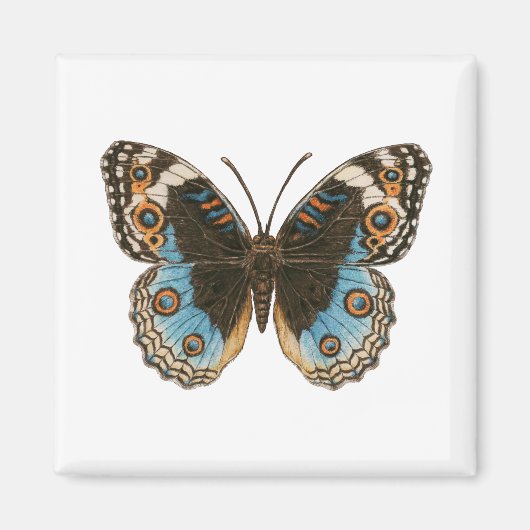 Blue Pansy Butterfly Magneet (Voorkant)