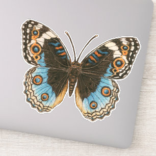 Blue Pansy Butterfly Sticker