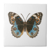 Blue Pansy Butterfly Tegeltje (Voorkant)