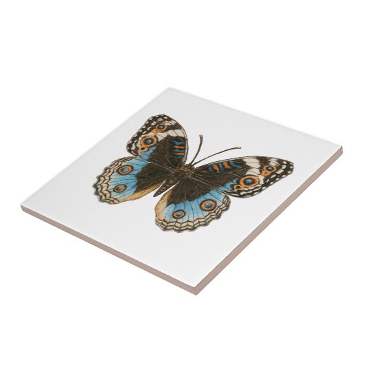 Blue Pansy Butterfly Tegeltje (Zijkant)