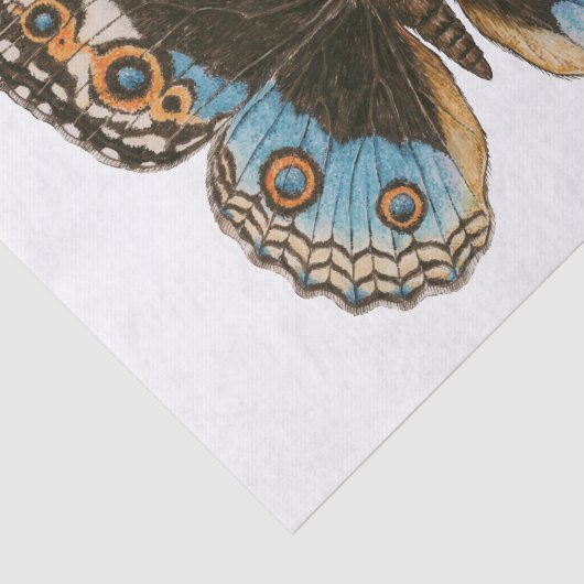 Blue Pansy Butterfly Tissuepapier (Detail)