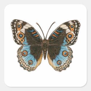 Blue Pansy Butterfly Vierkante Sticker