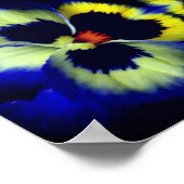 Blue Pansy Flower Abstract Poster (Hoek)