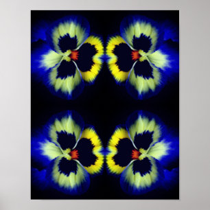 Blue Pansy Flower Abstract Poster