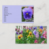 Blue Pansy, Gardeners Visitekaartje (Voorkant / Achterkant)