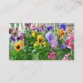 Blue Pansy, Gardeners Visitekaartje (Achterkant)