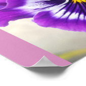 Blue Pansy Pansies Flower Floral Garden Poster (Hoek)