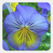 Blue Pansy Vierkante Sticker (Voorkant)