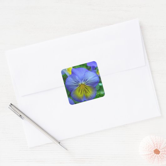 Blue Pansy Vierkante Sticker (Envelop)