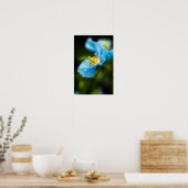 Blue Papaverposter Poster (Keuken)