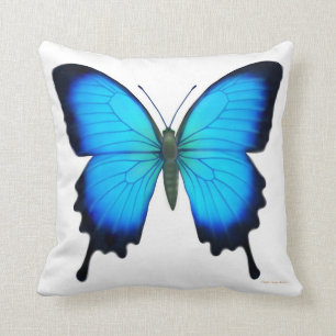 Blue Papilio Ulysses Butterfly Pillow Kussen