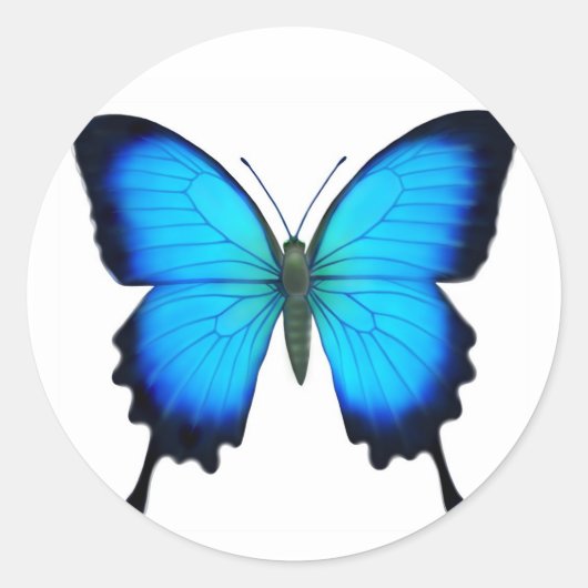 Blue Papilio Ulysses Butterfly Ronde Sticker (Voorkant)