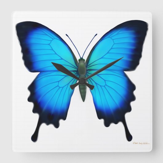 Blue Papilio Ulysses Butterfly Wall klok (Voorkant)