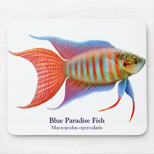 Blue Paradise Fish Mousepad Muismat (Voorkant)