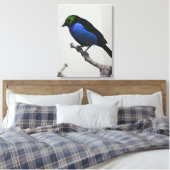 Blue Paradise Tanger Wrapped Canvas Afdruk (Insitu (Slaapkamer))