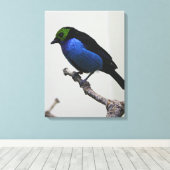 Blue Paradise Tanger Wrapped Canvas Afdruk (Insitu (Houten vloer))