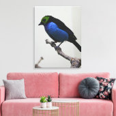 Blue Paradise Tanger Wrapped Canvas Afdruk (Insitu (Woonkamer))