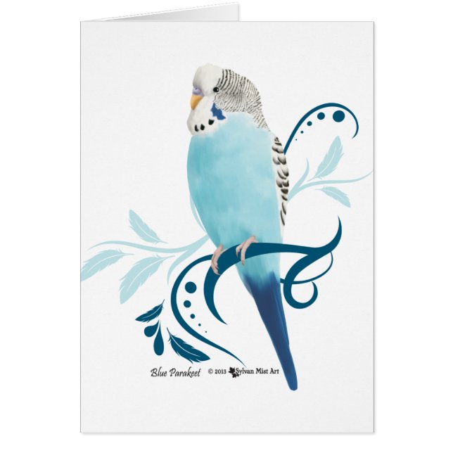 Blue Paraket (Voorkant)