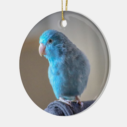 Blue Paraket Keramisch Ornament (Links)