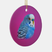 Blue Paraket Ornament (Rechts)