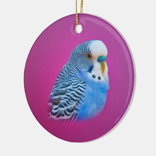 Blue Paraket Ornament (Links)