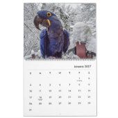 Blue Parrot Books 2026 Agenda Kalender (Jan 2027)