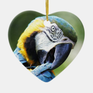 Blue Parrot Keramisch Ornament