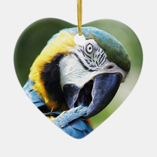 Blue Parrot Keramisch Ornament (Voorkant)