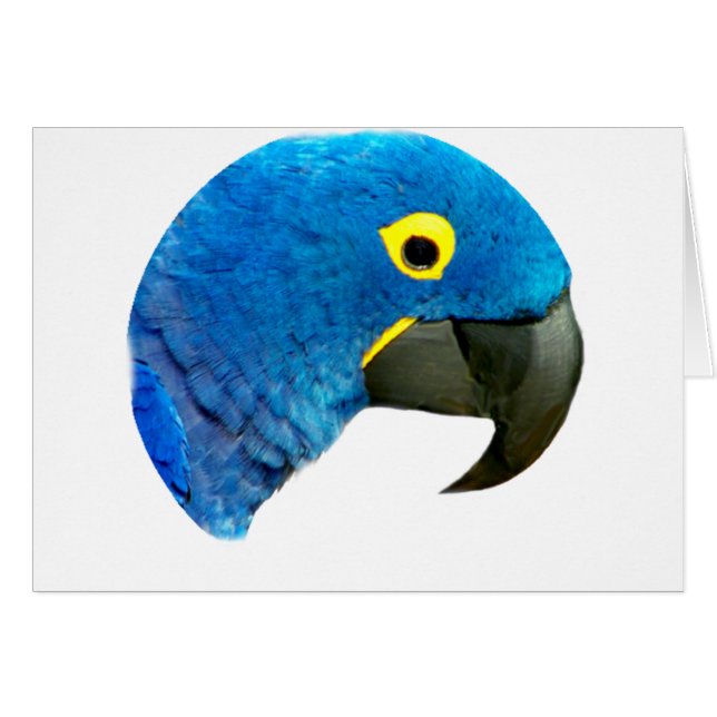 Blue Parrot of Love_ (Voorkant Horizontaal)