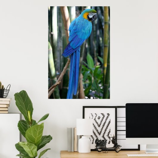 Blue Parrot photo Poster (Thuiskantoor)