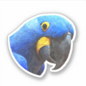 Blue Parrot Portret Sticker (Voorkant)