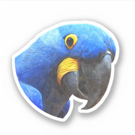 Blue Parrot Portret Sticker (Voorkant)