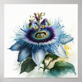 Blue Passion Flower Art Print Poster (Voorkant)