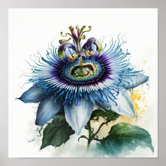 Blue Passion Flower Art Print Poster (Voorkant)