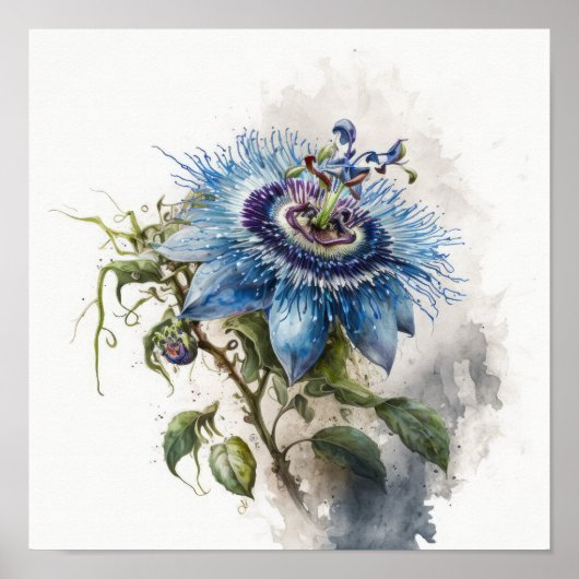 Blue Passion Flower Art Print Poster (Voorkant)