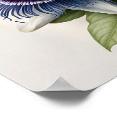 Blue Passion Flower Art Print Poster (Hoek)